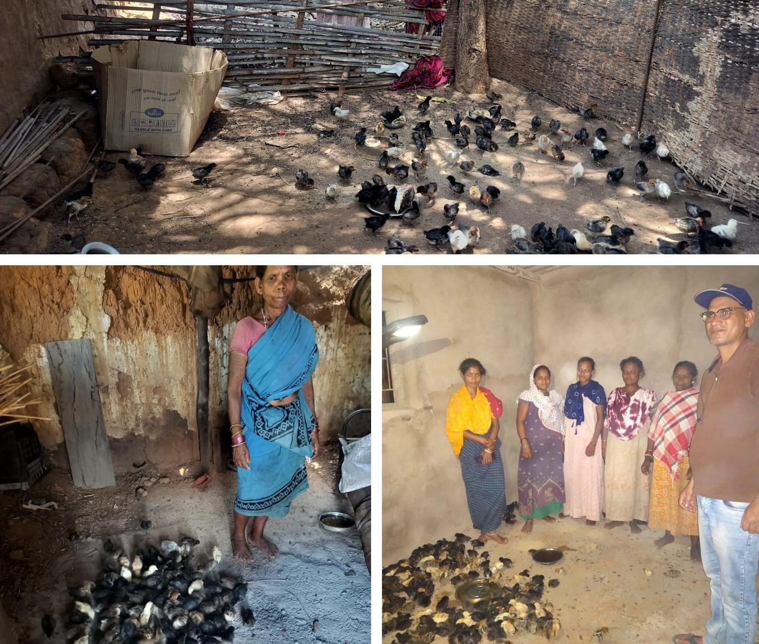 जनजातीय गरिमा उत्सव : सारंगढ़ में जनजातीय कारीगर हैंडीक्राफ्ट मेला आयोजित