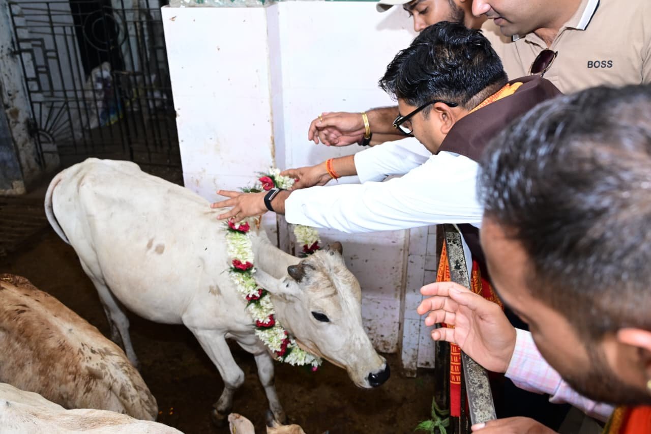 जन्मदिवस के अवसर पर वित्त मंत्री ओपी चौधरी ने की गौ-सेवा, संरक्षण के प्रयासों को सराहा